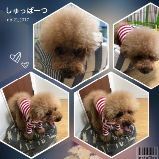 ��͂�J�c