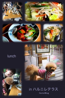 lunchtime