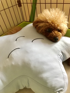 �C���������Ȃ�❣