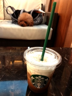 �����́c