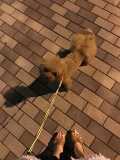 ��邳���