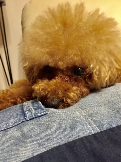 ���܂��❤