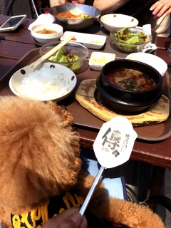 ������lunch�́`