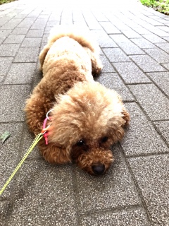 �K���c