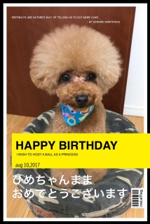 ���߂łƂ��������܂�?🎉