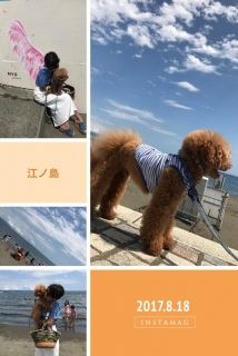 ���[�݁[