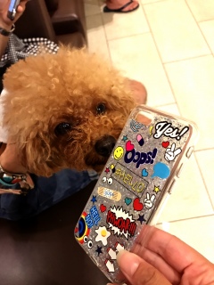 ������❣