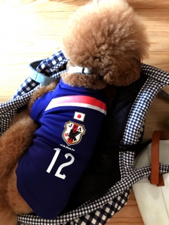 �o���_�i��