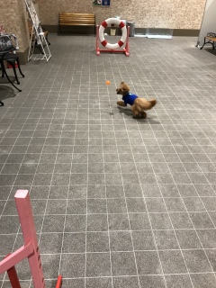 ��������[