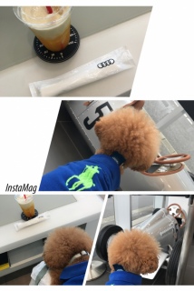 �t�����킳�ꂽ�c
