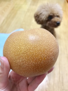 ����������😍