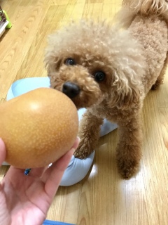 �o���_�i��