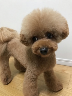 �ӂ�ӂ�❤