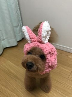 ���Ȃ��c
