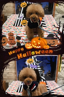 Halloween