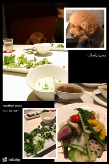 �{����lunch�B