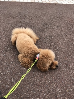 �悩������