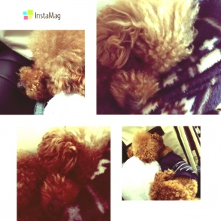 �΂�����💤