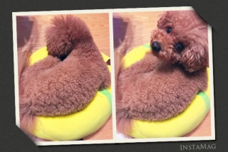 �v���[�g����😢
