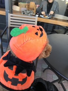 �n���E�B��🎃