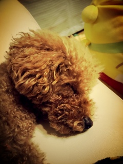 �΂����������💤