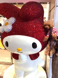 �}�C�����f�B