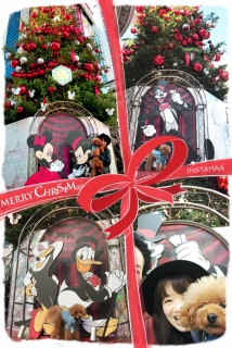 �N���X�}�X�c���[🎄