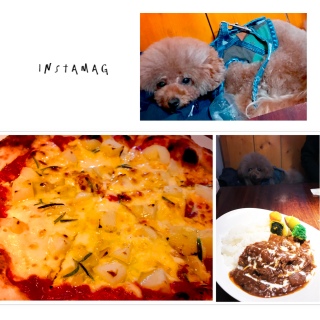 ������lunch�́`
