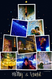 2017ver