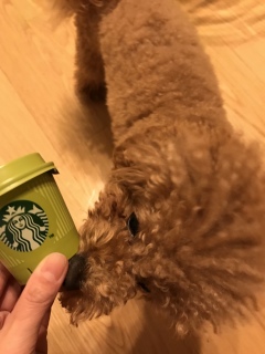 ���܂���❣