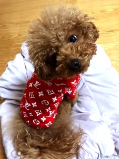 �͂�����[❤