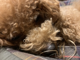 ���������💤