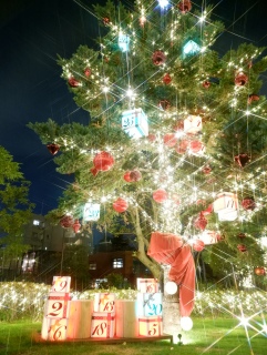 �L���L���t�B���^�[✨