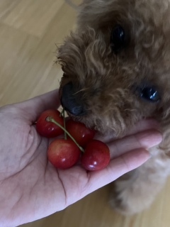 🍒