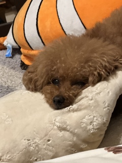 ꂱ