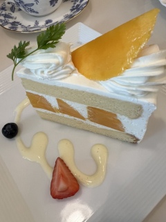 }S[🥭V[gP[L🥭