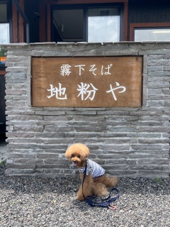Âcc