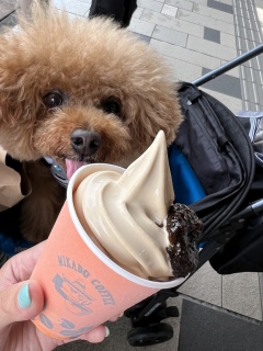 \tgN[🍦