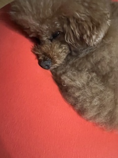 ܂ꂽ🤣