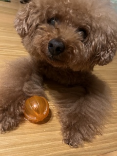 ⚽️낤Ƃ