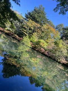 gt🍁ɂ