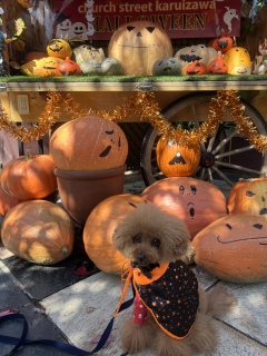 nEB🎃