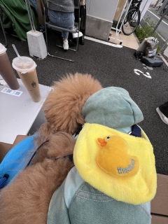 �ʂ�����ݗp��