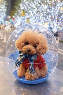 �K�`���K�`����