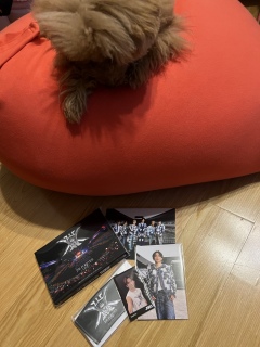 �͂�������[😍