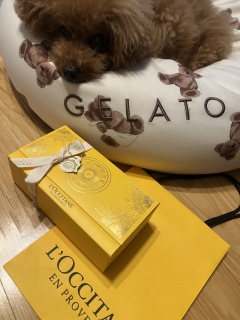 �N���X�}�X�v���[���g🎁