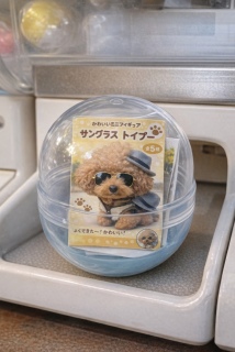 �T���O���X🕶️�g�C�v�[🤣