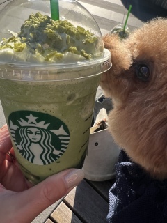 �����͂�������������