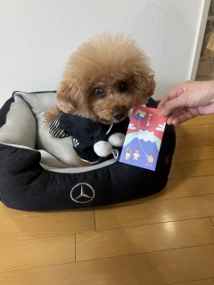 ���������܂���🧧