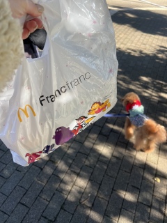 ������Ă����[